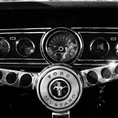 More Cars Coming Soon!